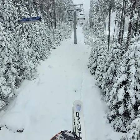 Apartman Cozy With Balcony And Incl In 4-star Saint Ivan Rilski ,