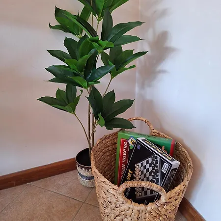 Apartment Cozy With Balcony And Incl In 4-star Saint Ivan Rilski , *